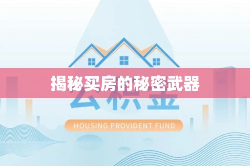 吴兴揭秘买房的秘密武器