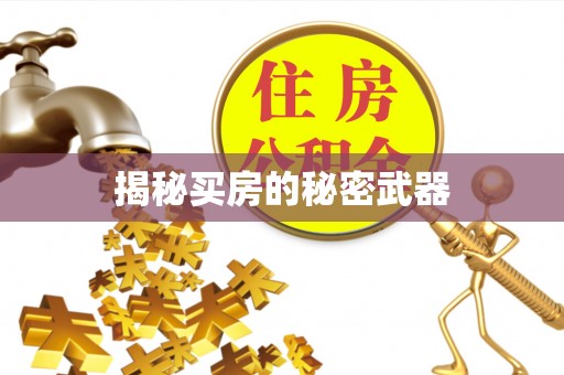 吴兴揭秘买房的秘密武器
