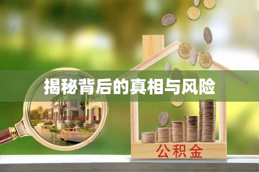 吴兴揭秘背后的真相与风险